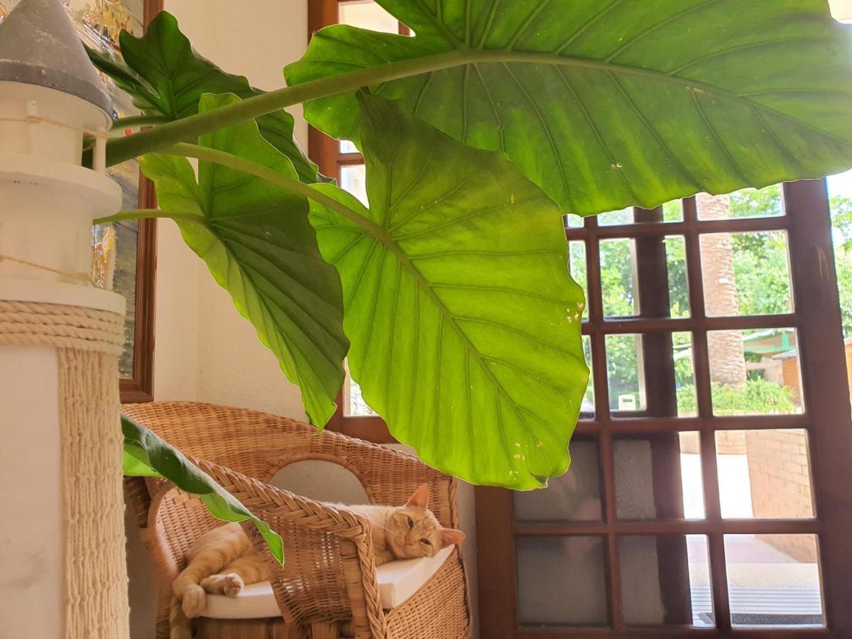 Hotel Riomar 圣马蒂登普里斯 外观 照片